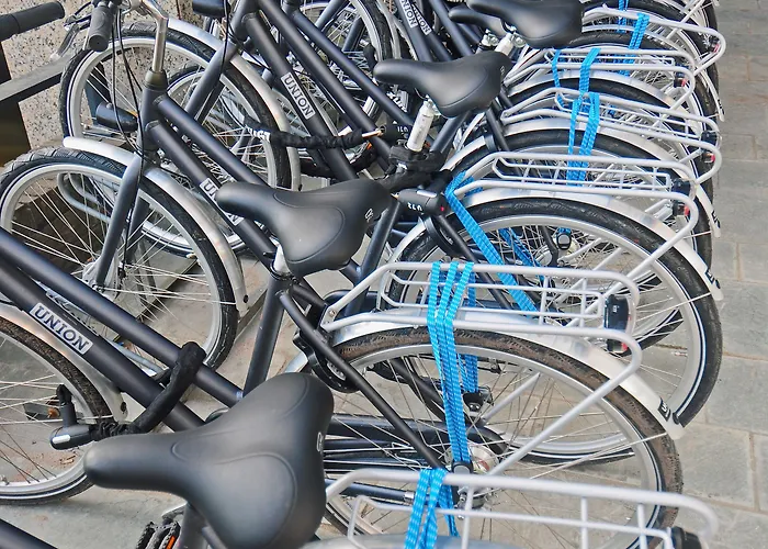 南阿姆斯特丹市宜必思经济型酒店 酒店